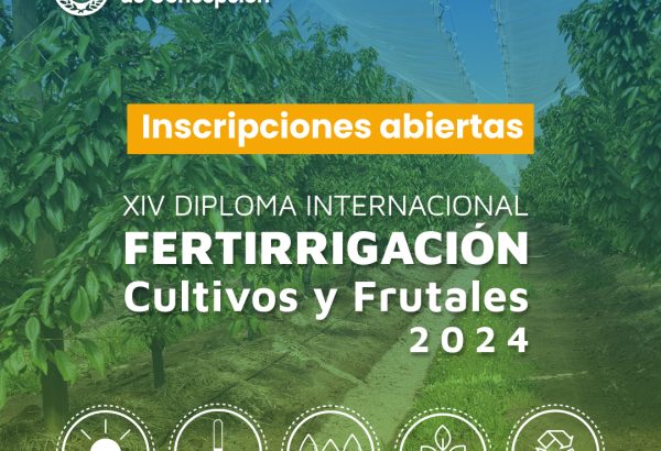 XIV Diploma Internacional en Fertirrigación de Cultivos y Frutales