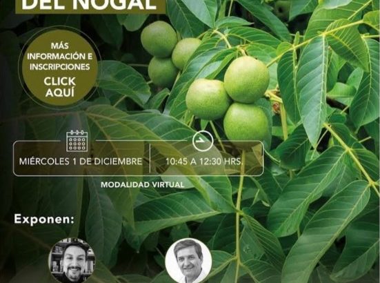Webinar Avances en las Enfermedades del Nogal
