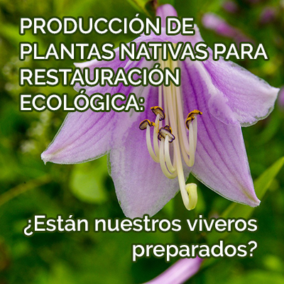 PRODUCCIÓN DE PLANTAS NATIVAS PARA RESTAURACIÓN ECOLÓGICA: ¿ESTÁN NUESTROS VIVEROS PREPARADOS?