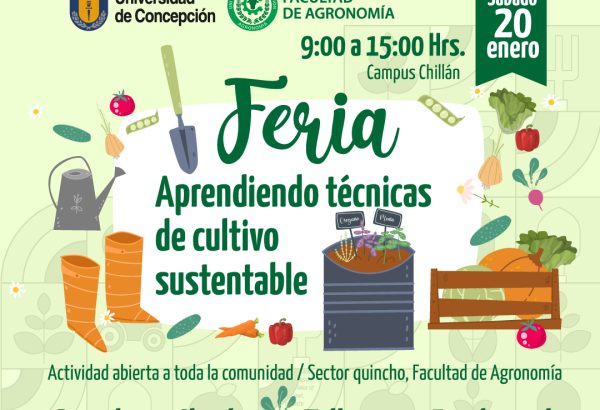 Feria: Aprendiendo técnicas de cultivo sustentable