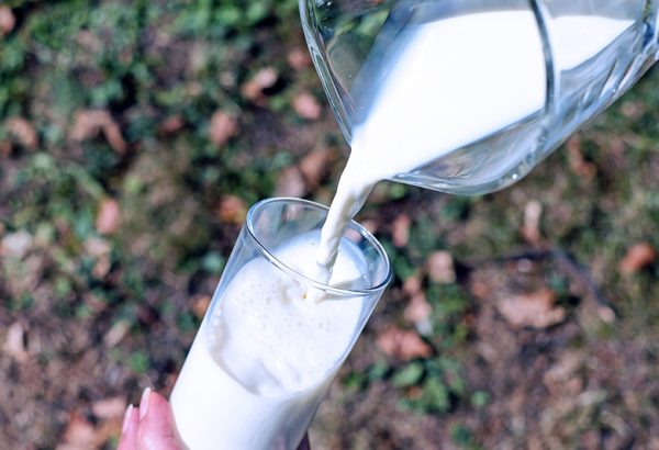 SEMINARIO INTERNACIONAL EN PRODUCCIÓN DE LECHE