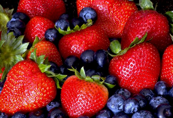 III DIPLOMA EN PRODUCCIÓN DE BERRIES