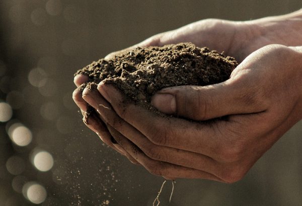 II SEMINARIO DE FERTILIDAD Y BIOLOGÍA DE SUELOS