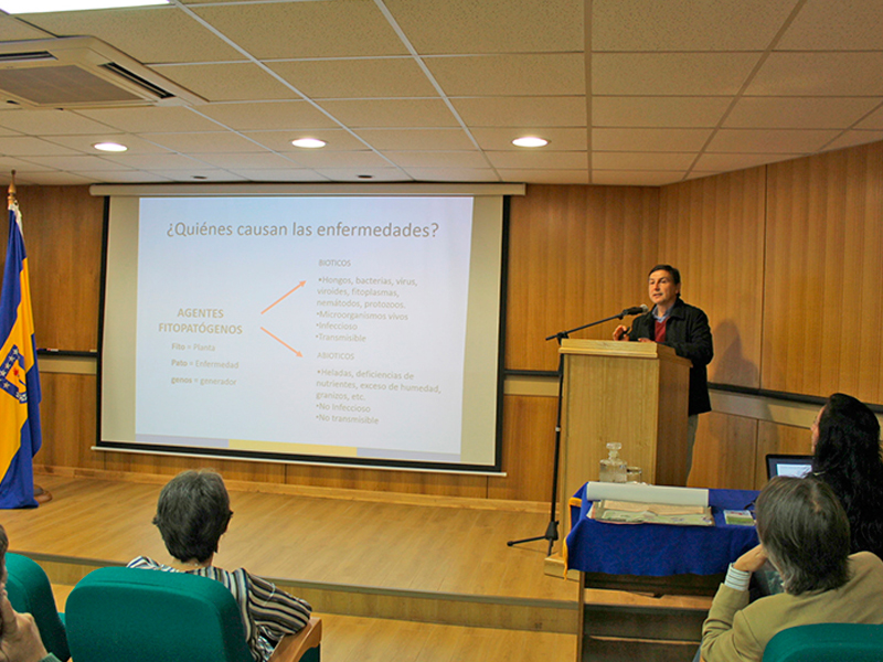 Expertos exponen sobre enfermedades que afectan a la Vid