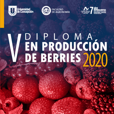 Diplomado en Producción de Berries 2022
