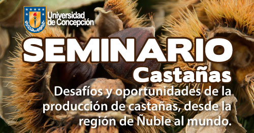 SEMINARIO CASTAÑAS