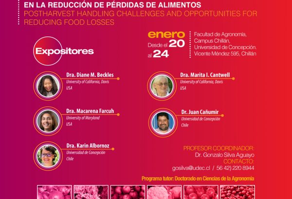 Curso Escuela de Verano 2020