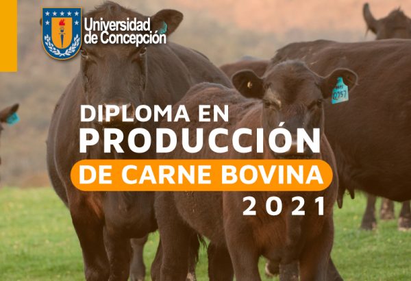 Diploma en Producción de Carne Bovina 2021