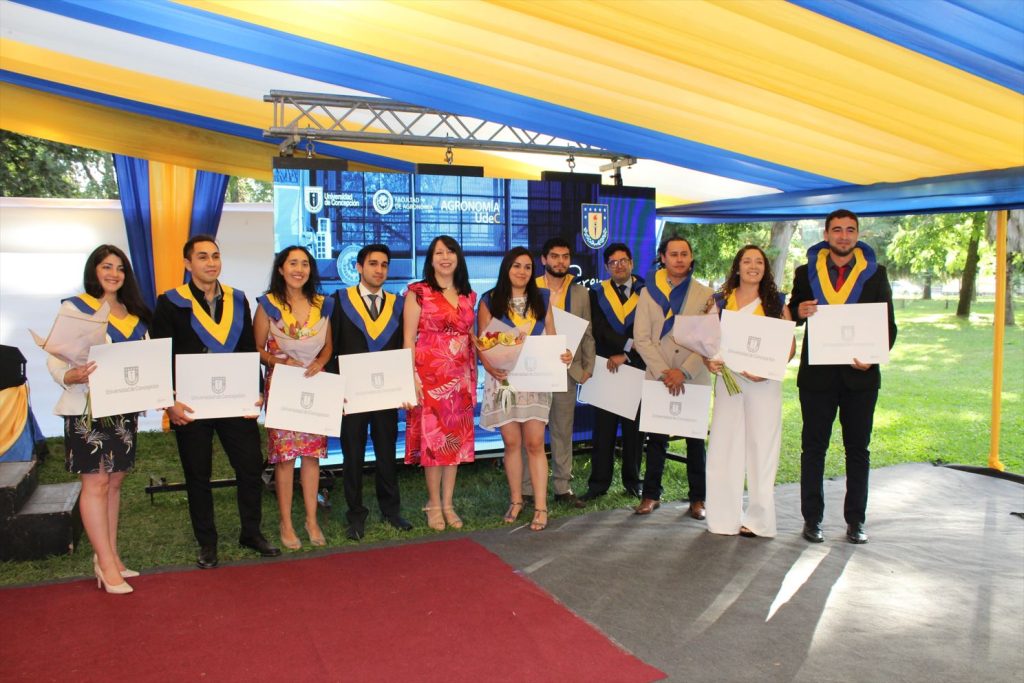 Magister