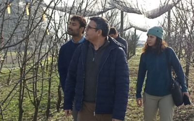Trabajo colaborativo con experto internacional podría potenciar línea investigativa sobre producción de frutas bajo cobertura