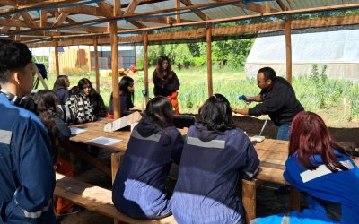 Académicos de Agronomía UdeC asesoran a estudiantes del Liceo Bicentenario Puente Ñuble en sistemas agroecológicos