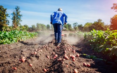 Agronomía UdeC realizará seminario sobre sustentabilidad de los suelos frente al cambio climático