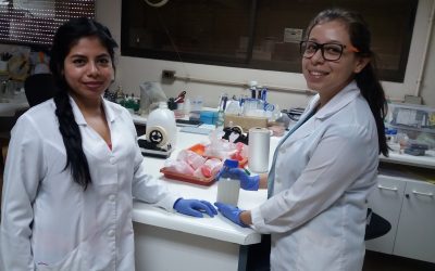 Estudiantes de México se perfeccionan en Agronomía UdeC