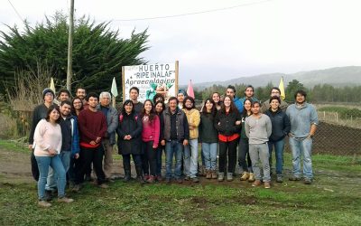Estudiantes visitaron experiencias innovadoras en el Secano Costero