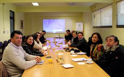 Academia y autoridades aúnan esfuerzos para el desarrollo de la Provincia de Arauco