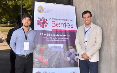 Agronomía presenta innovador trabajo en riego deficitario en arándanos en Congreso Chileno de Berries