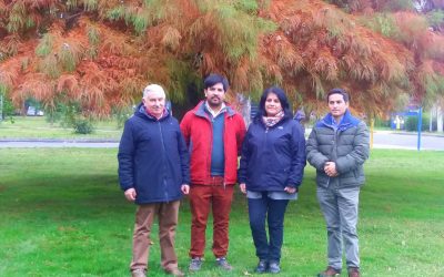Académicos crean Guía Digital de árboles del Campus Chillán