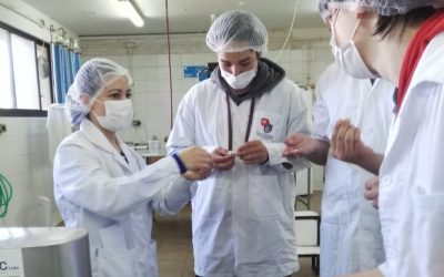 Escolares aprenden sobre proceso de elaboración de quesillos en Facultad de Agronomía
