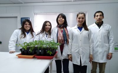 Escolares participaron en Taller de Ciencias liderado por académica de Agronomía
