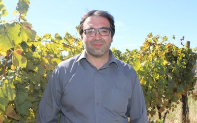 Académico de Agronomía UdeC será jurado en el Catad’Or Ancestral Wine Awards