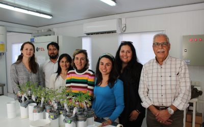 Expertos analizan el impacto del biocarbón y su uso en la agricultura