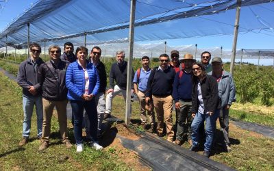 Agronomía participa en el desarrollo de la fruticultura en el Sur del país