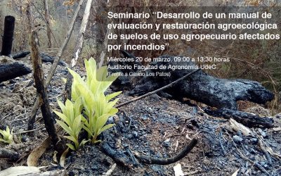 En Concepción realizarán Seminario sobre restauración de suelos afectados por incendios