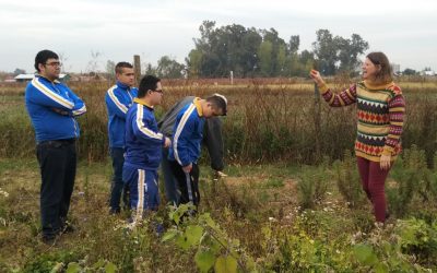 Estudiantes con habilidades diferentes visitaron Vitrina Tecnológica de Hortalizas