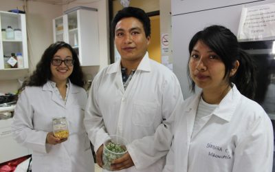 Estudiantes mexicanos se perfeccionan en Agronomía UdeC
