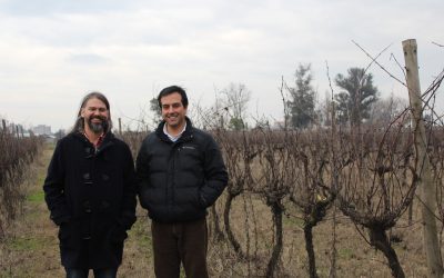 Académicos de Agronomía UdeC expondrán investigaciones del Valle del Itata en Estados Unidos
