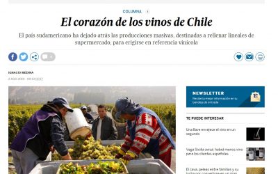 Diario El País de España destaca trabajo de dos exalumnos de Agronomía UdeC