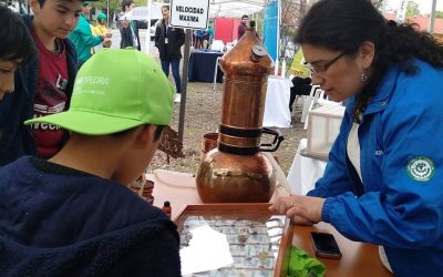Gran interés despertó stand de Agronomía “Explora Fest”
