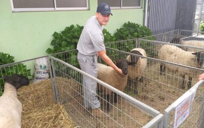 Académico de Agronomía UdeC participó en XV Exposición Regional Ovina de Pinto