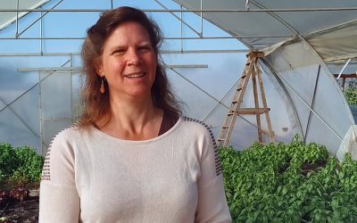 Agronomía UdeC realizará charla online para niños sobre la creación de huertos caseros