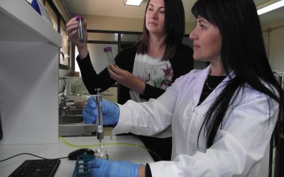 Dra. Cristina Muñoz obtiene importantes resultados en el uso del biocarbón
