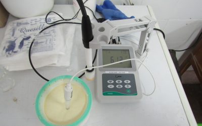 Experta de Agronomía explicará principales controles en la cadena productiva de alimentos de origen animal