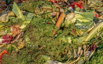 Academia y Sector Privado analizan el problema de la pérdida y desperdicio de alimentos