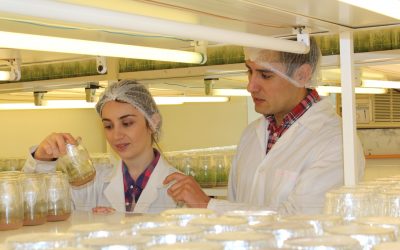 Realizarán charla sobre la inducción de resistencia para el control de enfermedades en plantas