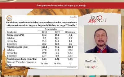 Académico de Agronomía UdeC expuso sobre las enfermedades de los nogales en Exponut 2020