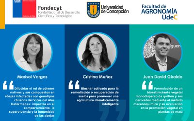 Agronomía UdeC se adjudica fondos para importantes investigaciones del área