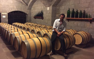 Académico de Agronomía UdeC dictó clase magistral sobre Enoturismo para Universidad de Cádiz