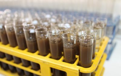 Agronomía UdeC mantiene abiertos y en funcionamiento sus servicios de laboratorios