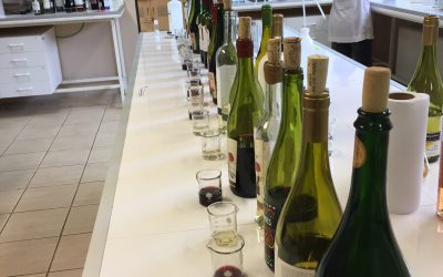Laboratorio de análisis químico de vinos de Agronomía UdeC retoma funcionamiento para vitivinicultores