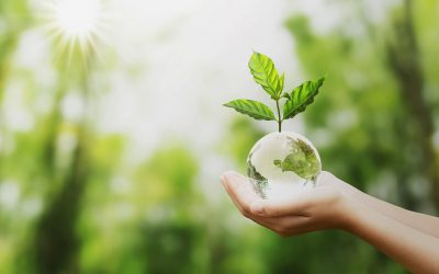 Experto de Agronomía UdeC plantea los principales desafíos para un planeta sano