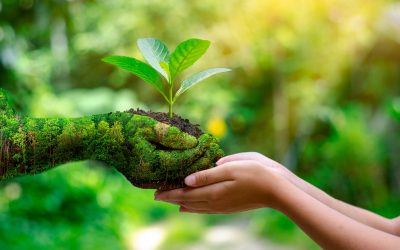 Facultad de Agronomía UdeC destaca las formas de cuidado de la Biodiviersidad