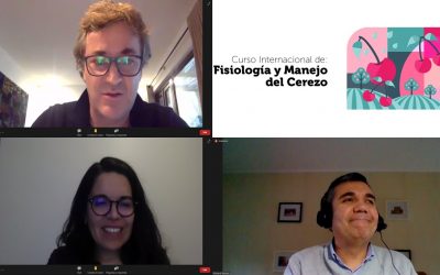 Agronomía UdeC inicia Curso Internacional de Fisiología y Manejo del Cerezo 2021