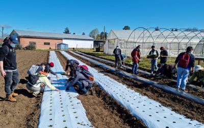 Estudiantes y académicos de Agronomía UdeC retornan paulatinamente a la presencialidad