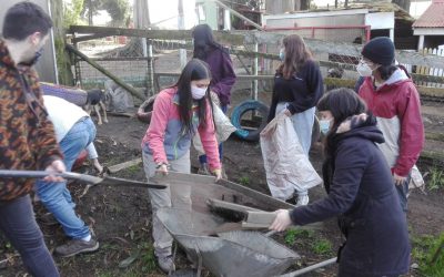 Estudiantes de Agronomía UdeC participarán del Programa de Huertas Urbanas en Chiguayante