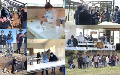 Estudiantes conocen del mundo de la microbiología, edafología, floricultura y enología