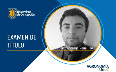 Nuevo titulado de Ingeniero Agrónomo